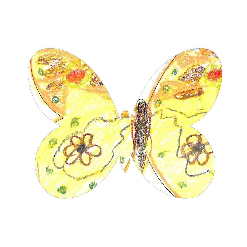 Original Butterfly Image