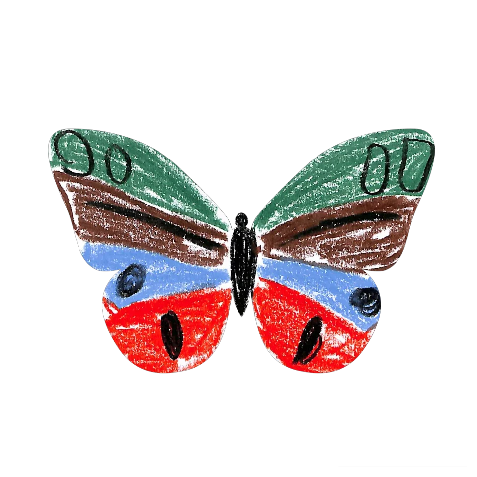 Original Butterfly Image