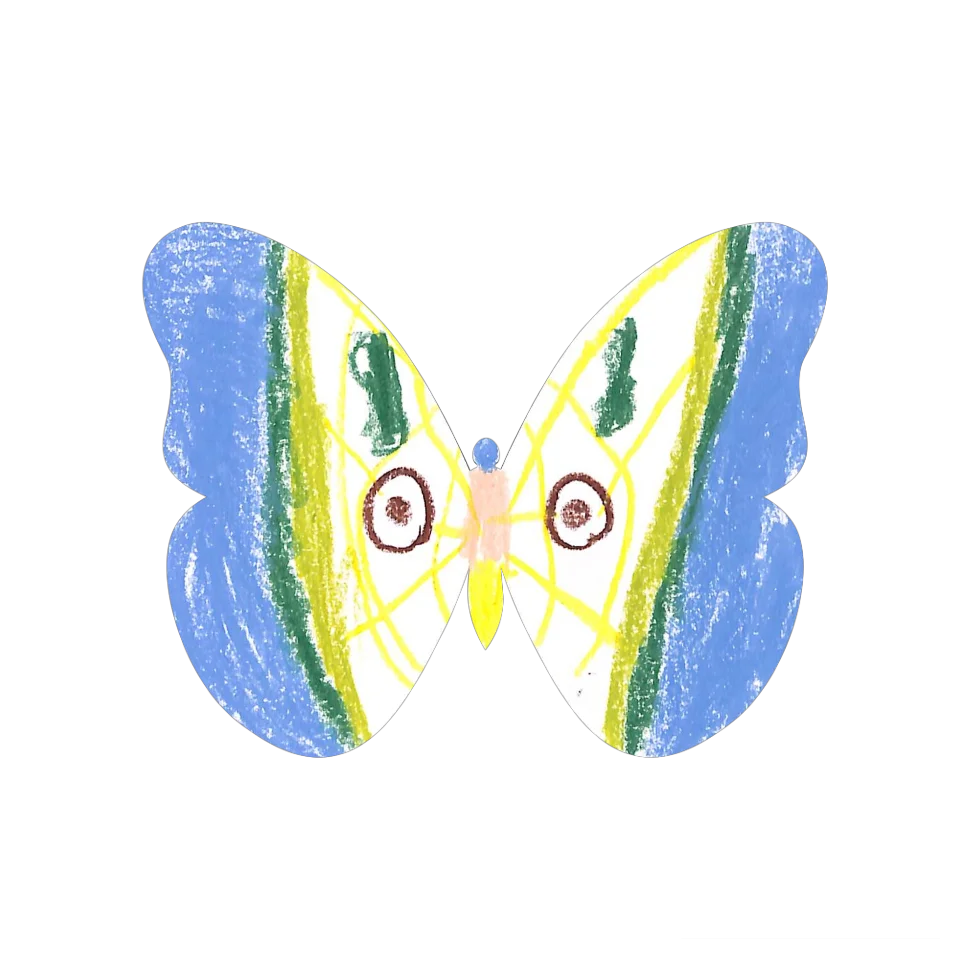Original Butterfly Image