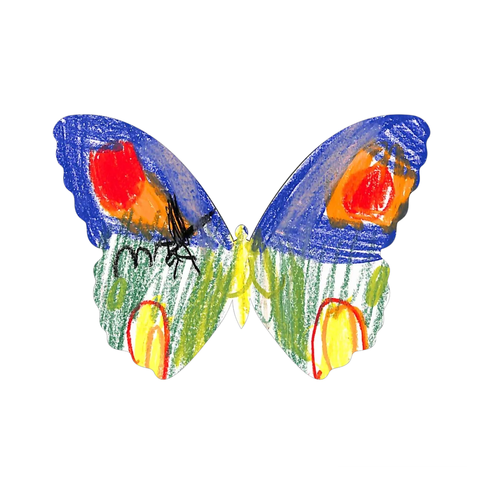 Original Butterfly Image