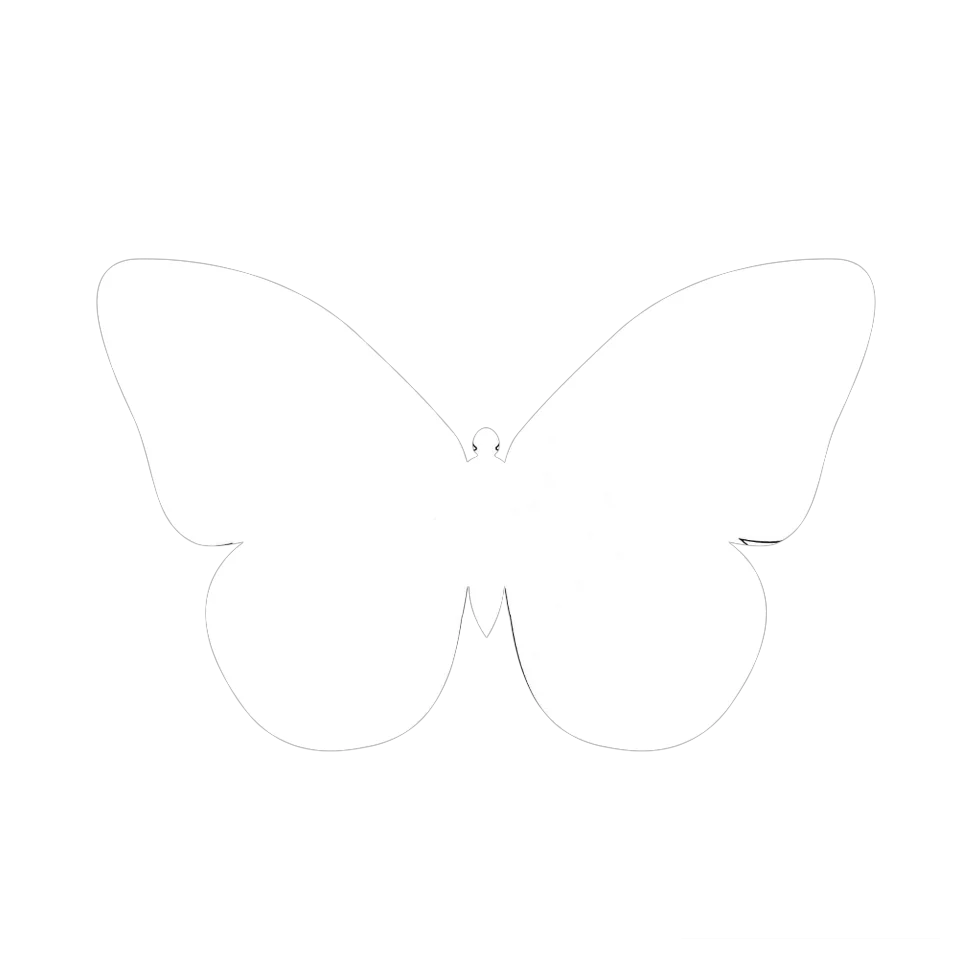 Original Butterfly Image
