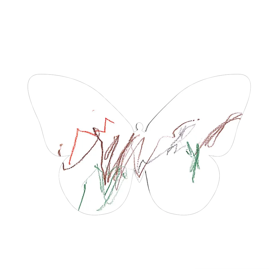 Original Butterfly Image
