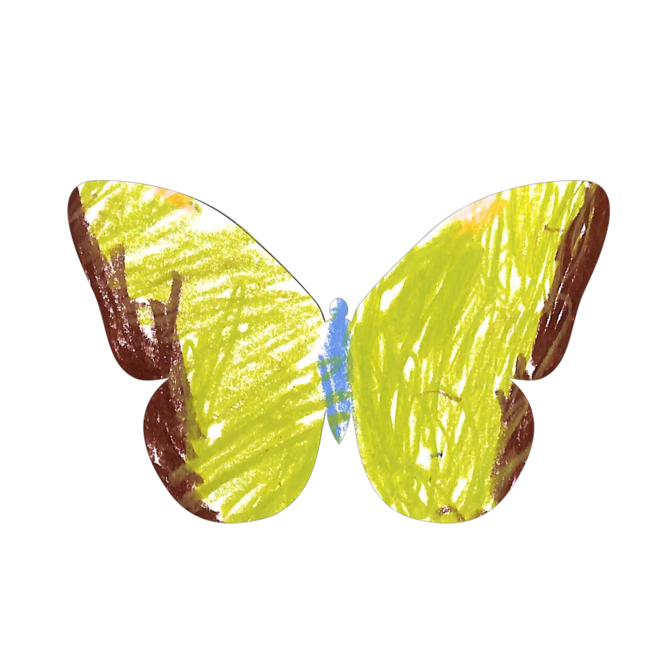 Original Butterfly Image