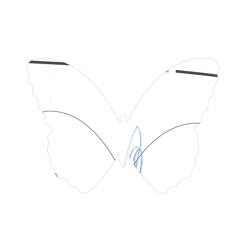 Original Butterfly Image