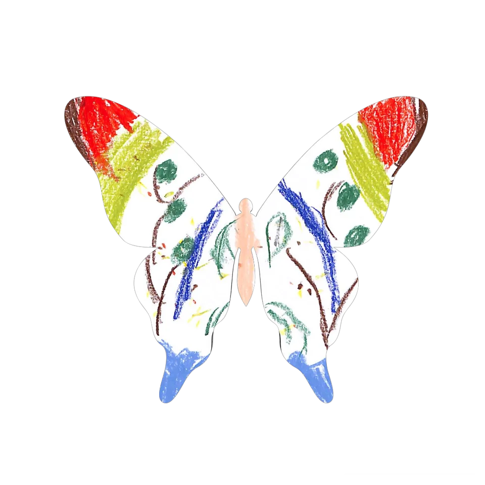 Original Butterfly Image