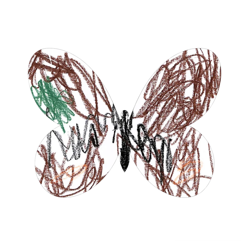 Original Butterfly Image