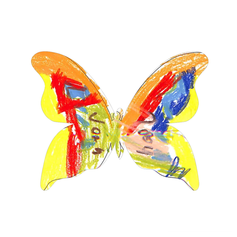 Original Butterfly Image