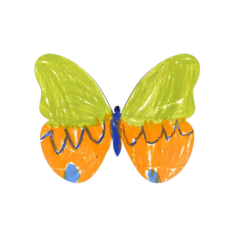 Original Butterfly Image