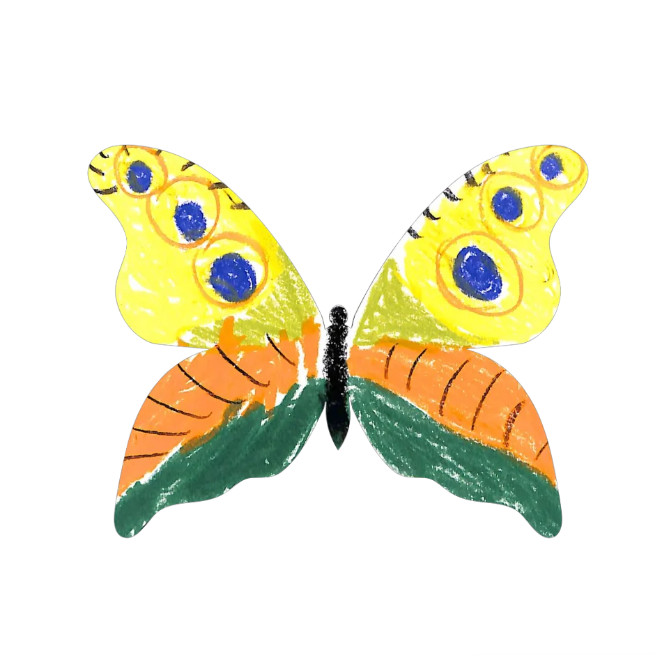 Original Butterfly Image