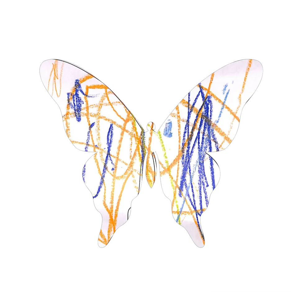 Original Butterfly Image