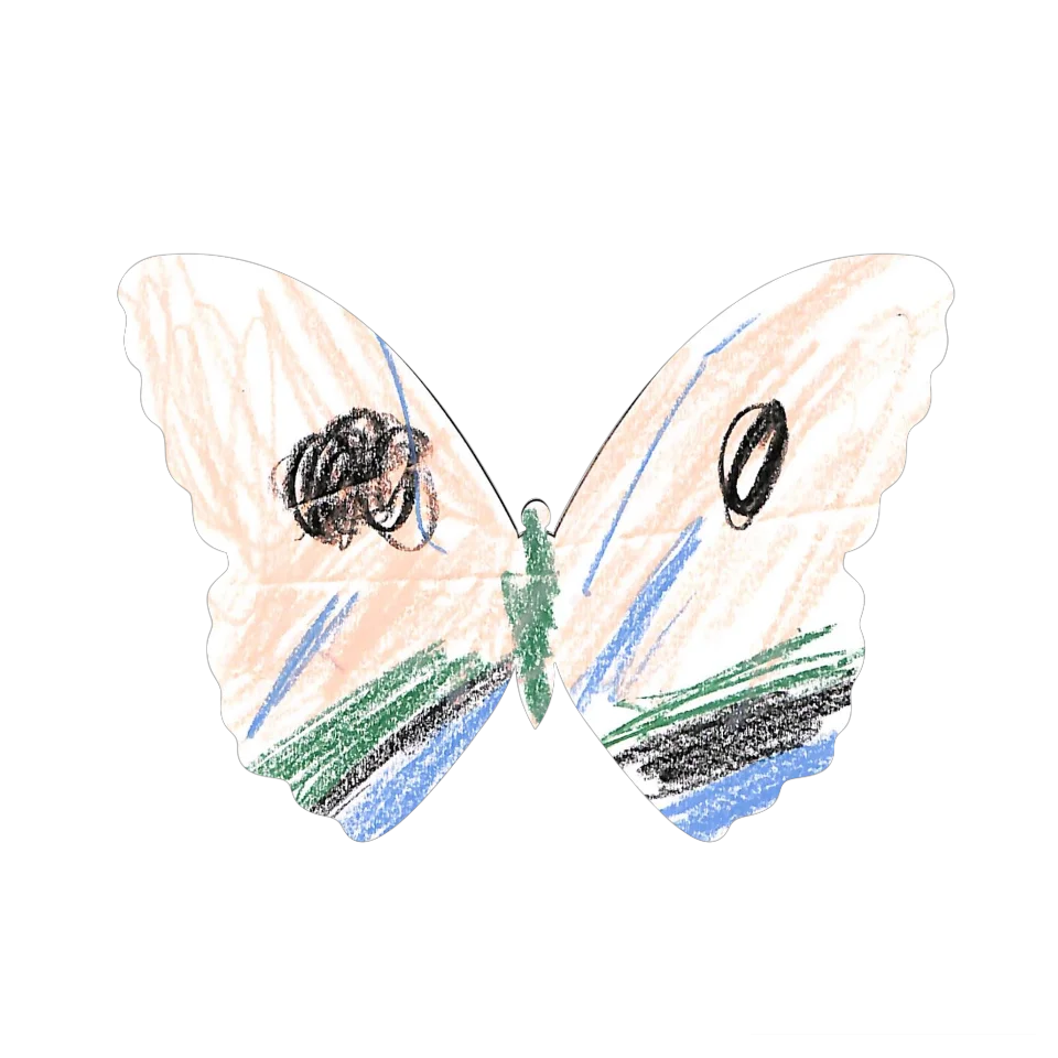 Original Butterfly Image