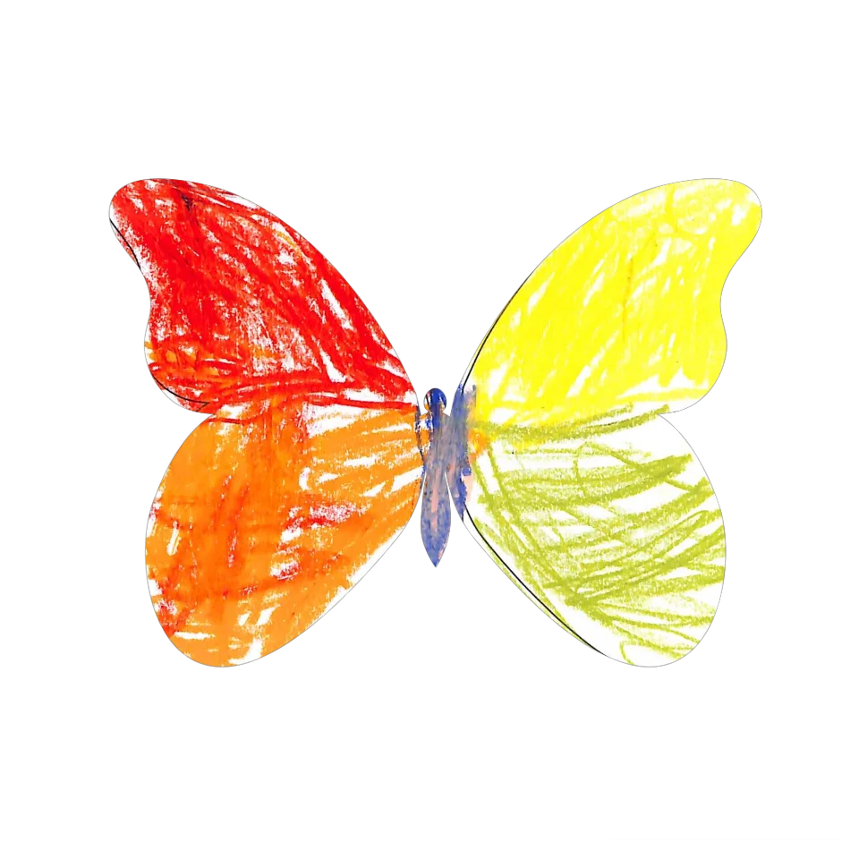 Original Butterfly Image