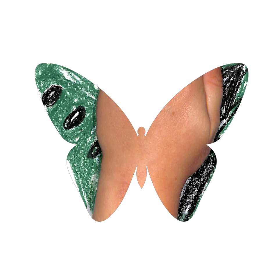 Original Butterfly Image