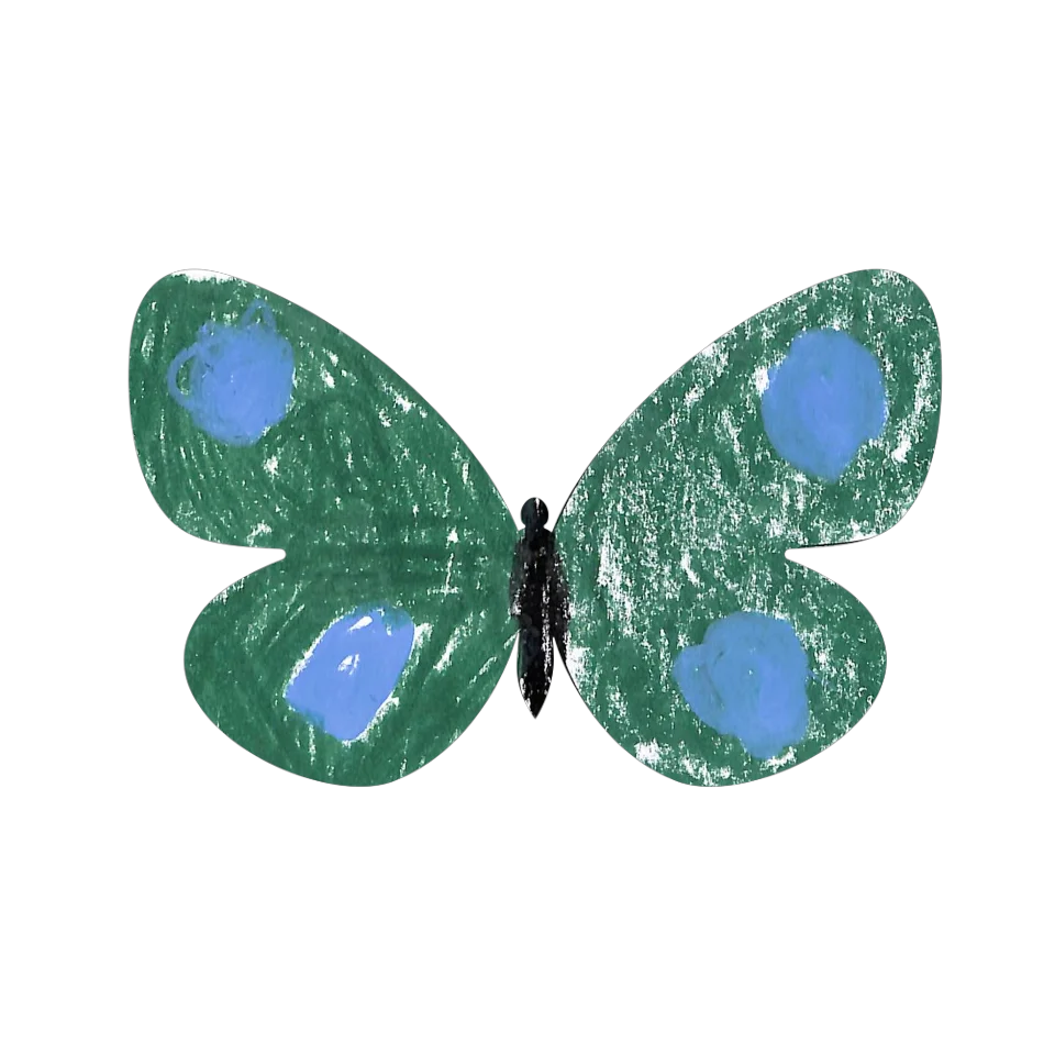 Original Butterfly Image