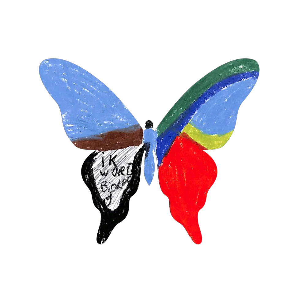 Original Butterfly Image