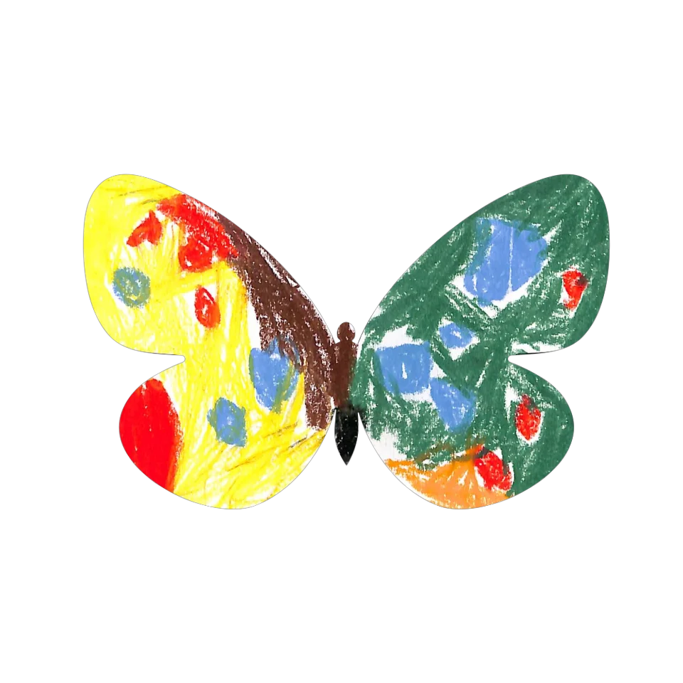 Original Butterfly Image
