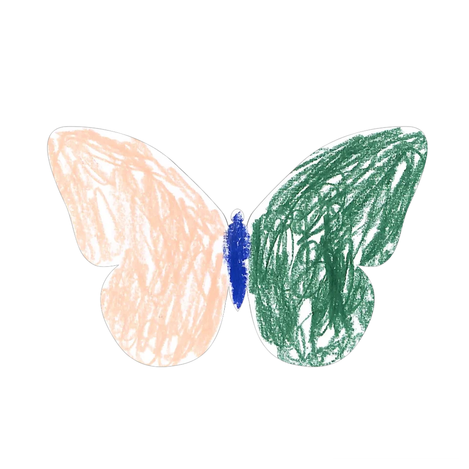 Original Butterfly Image