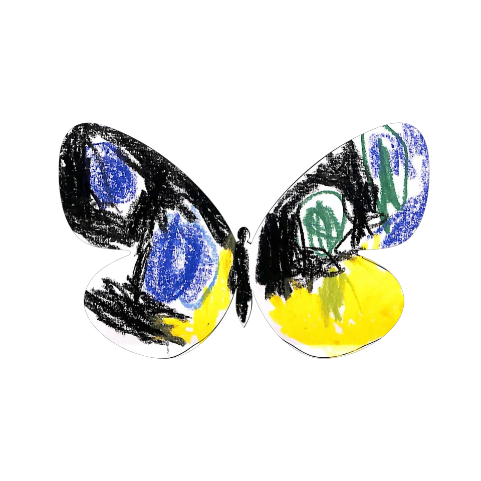 Original Butterfly Image
