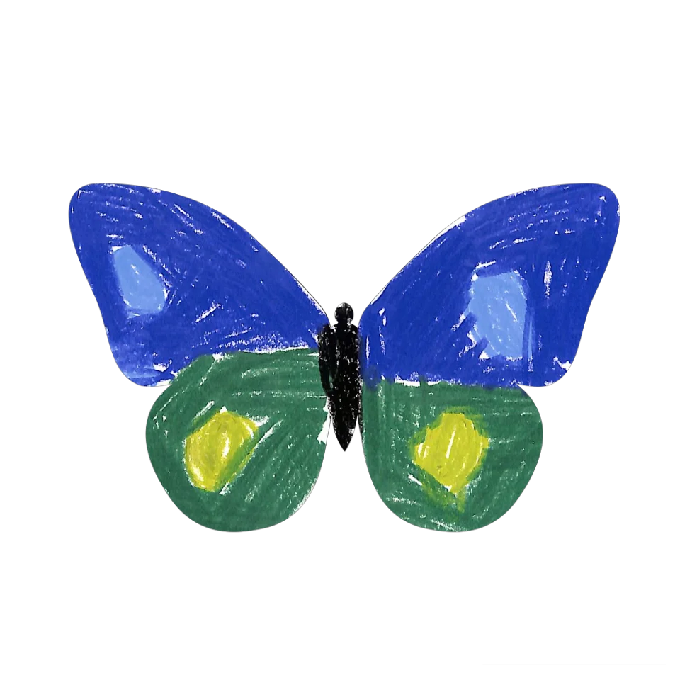 Original Butterfly Image