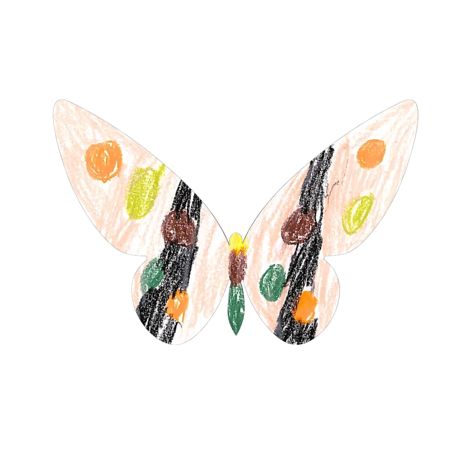 Original Butterfly Image