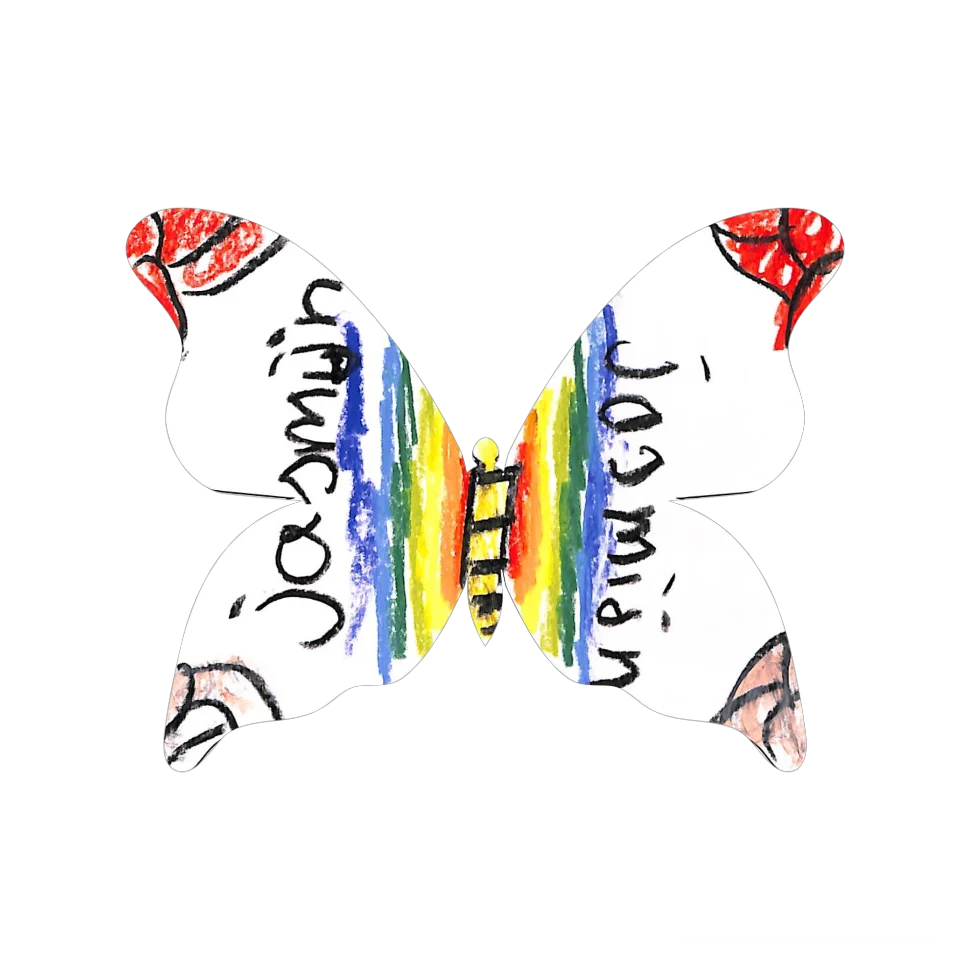 Original Butterfly Image