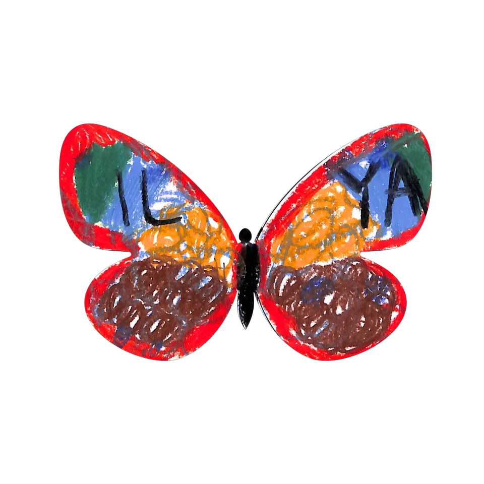 Original Butterfly Image