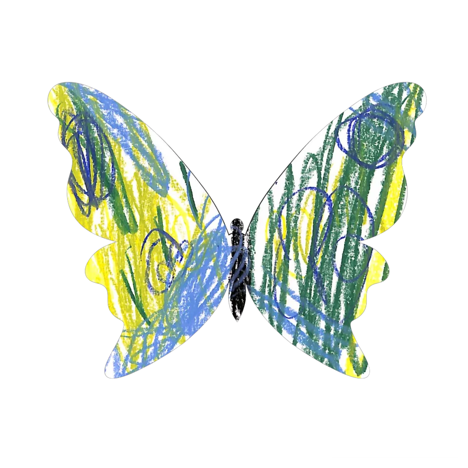 Original Butterfly Image