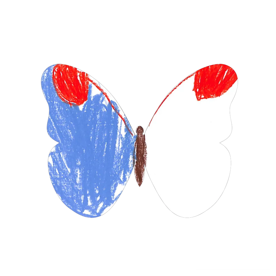 Original Butterfly Image
