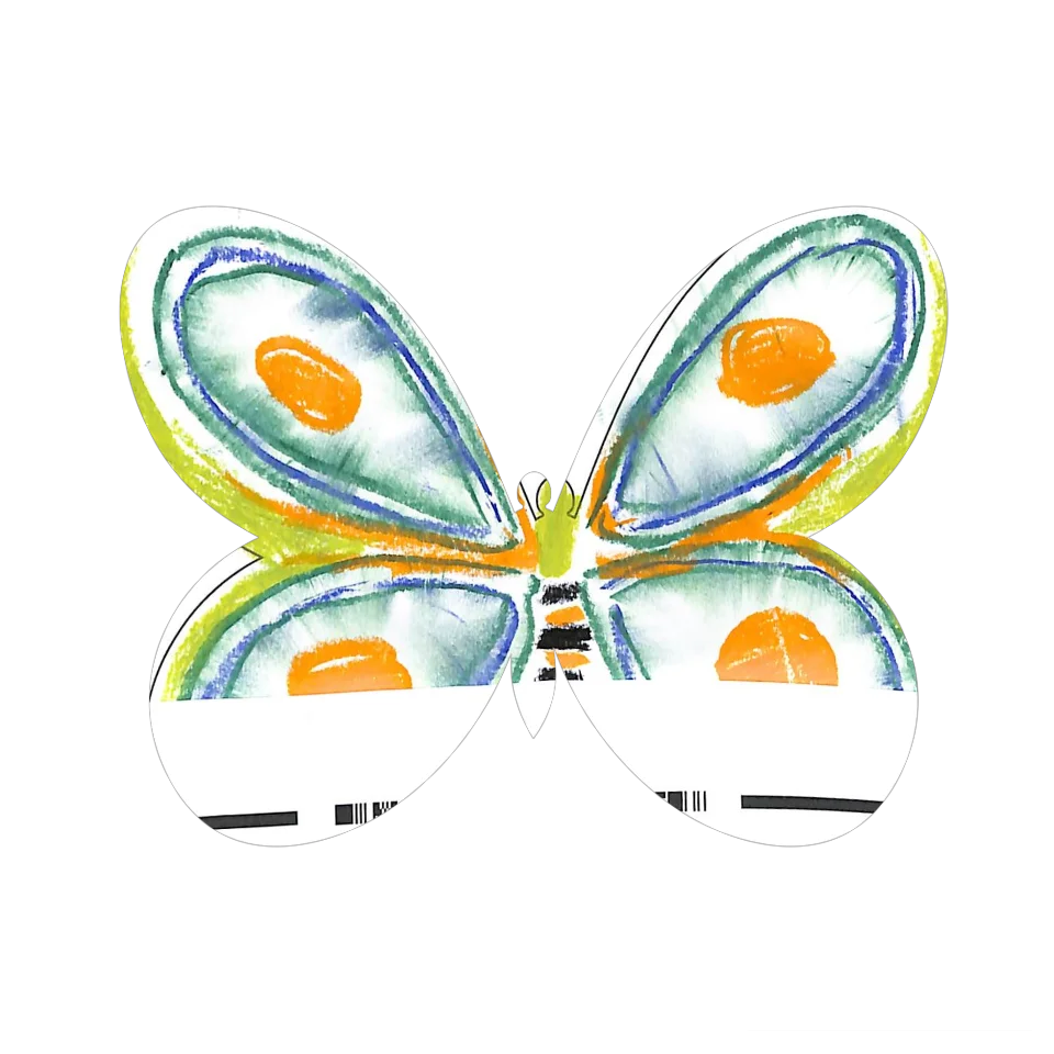Original Butterfly Image
