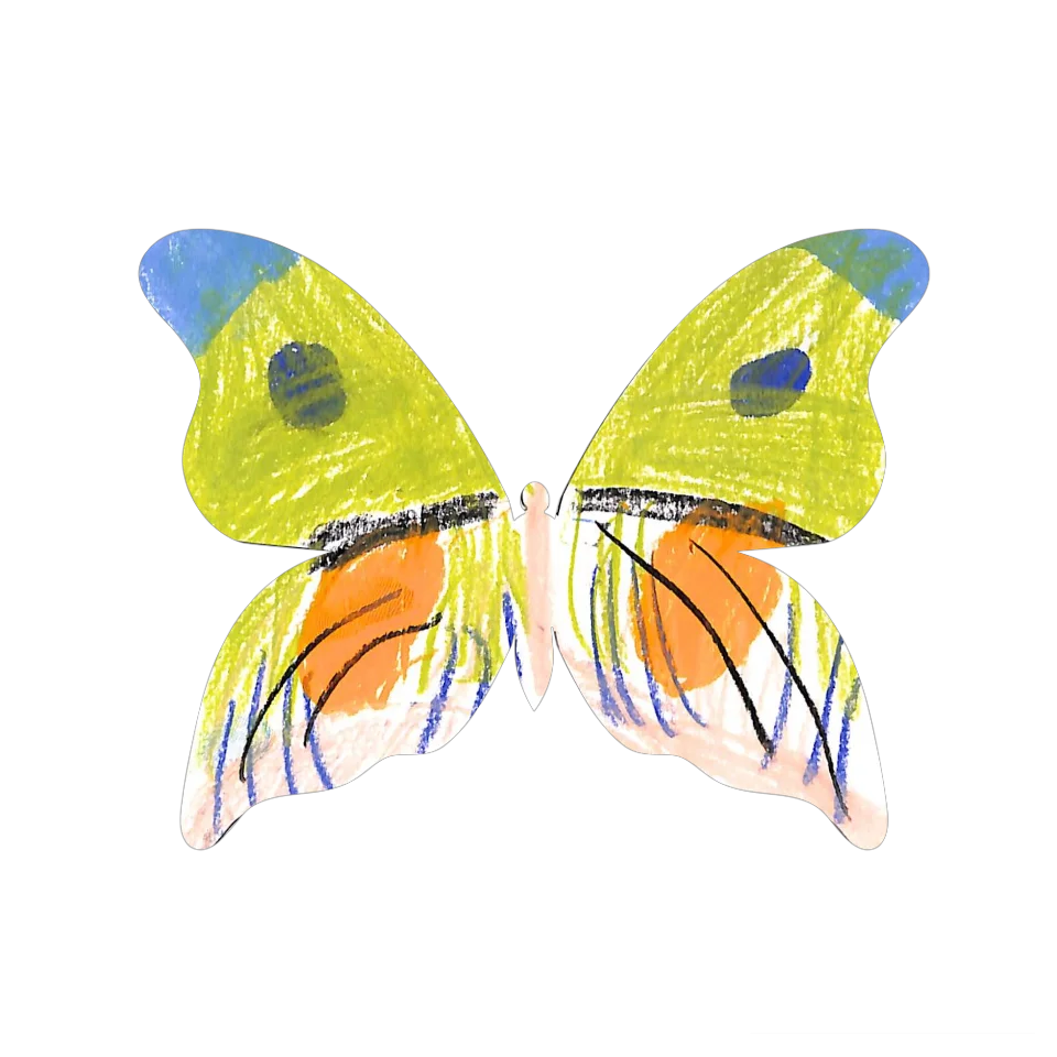 Original Butterfly Image