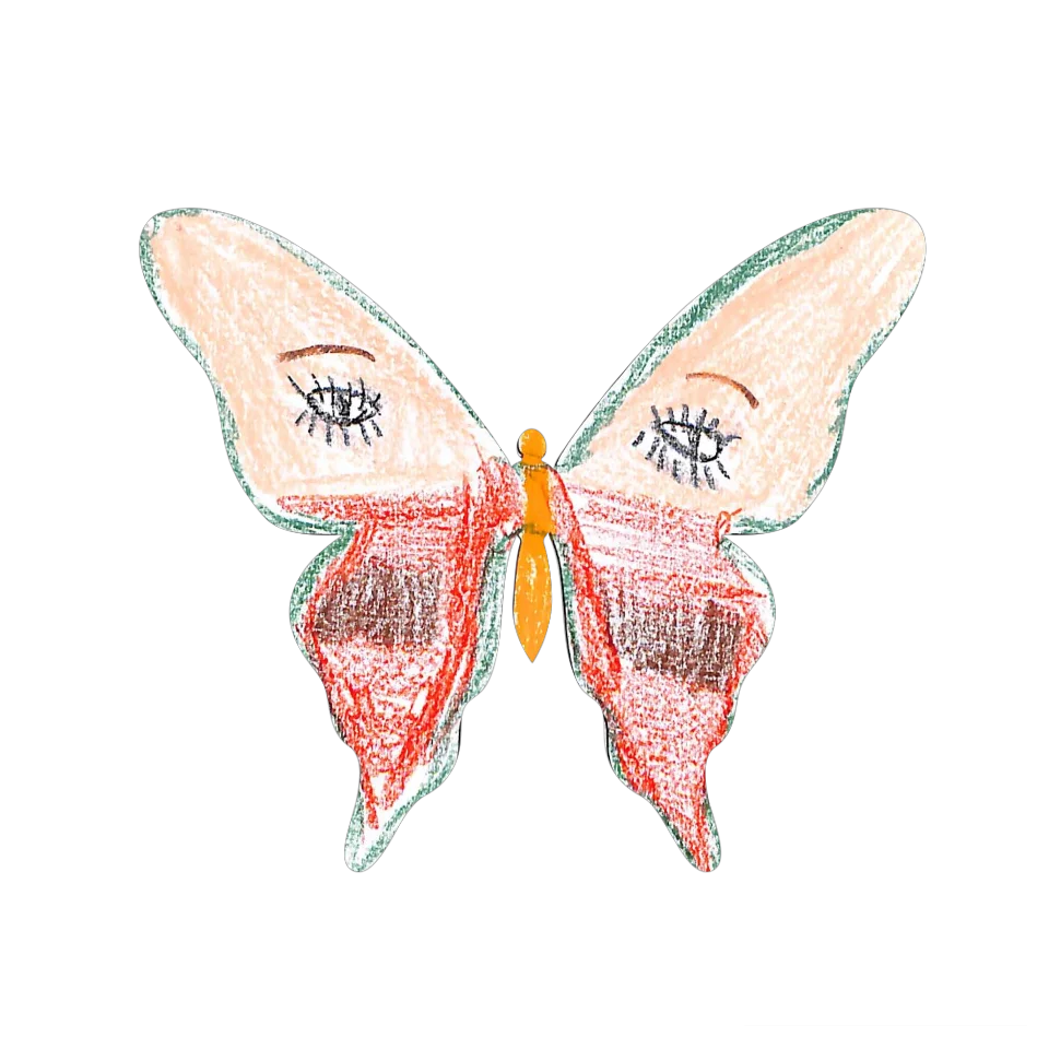 Original Butterfly Image