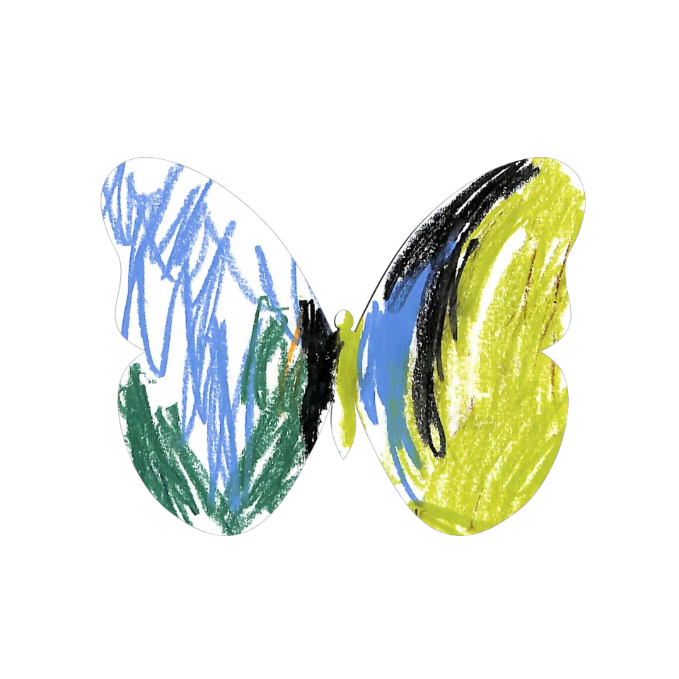 Original Butterfly Image