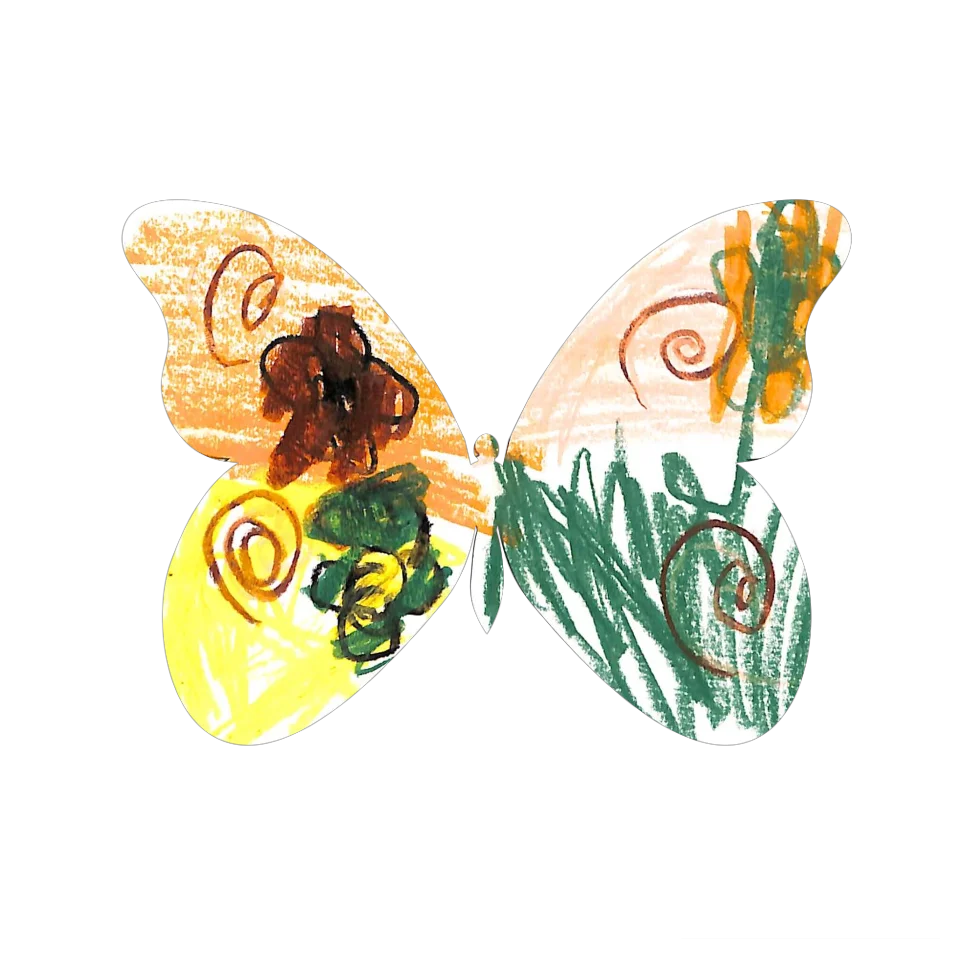 Original Butterfly Image