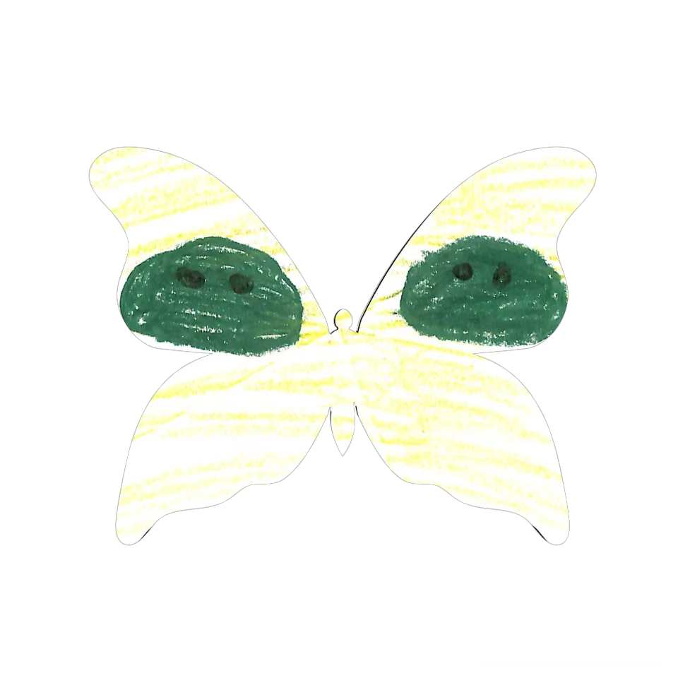 Original Butterfly Image