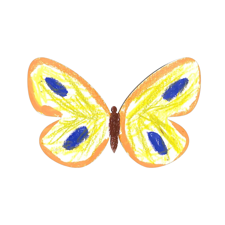 Original Butterfly Image