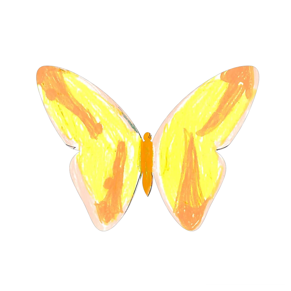 Original Butterfly Image