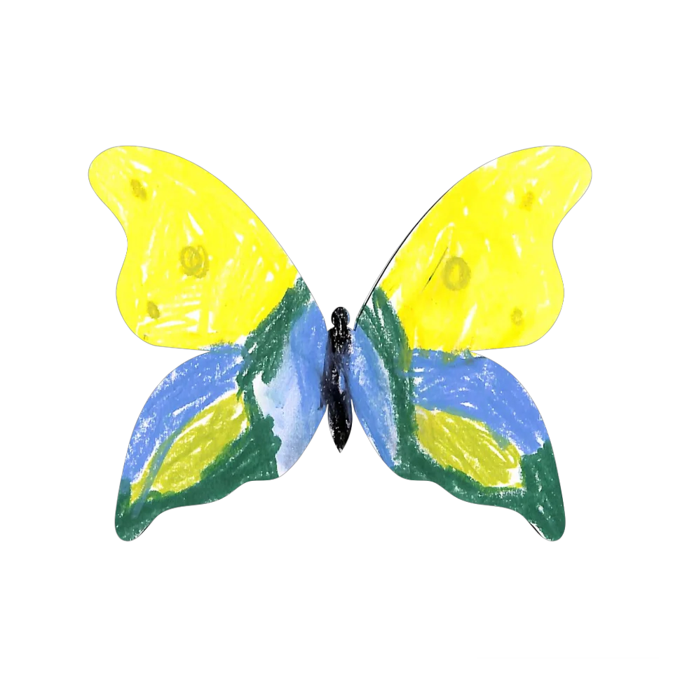 Original Butterfly Image