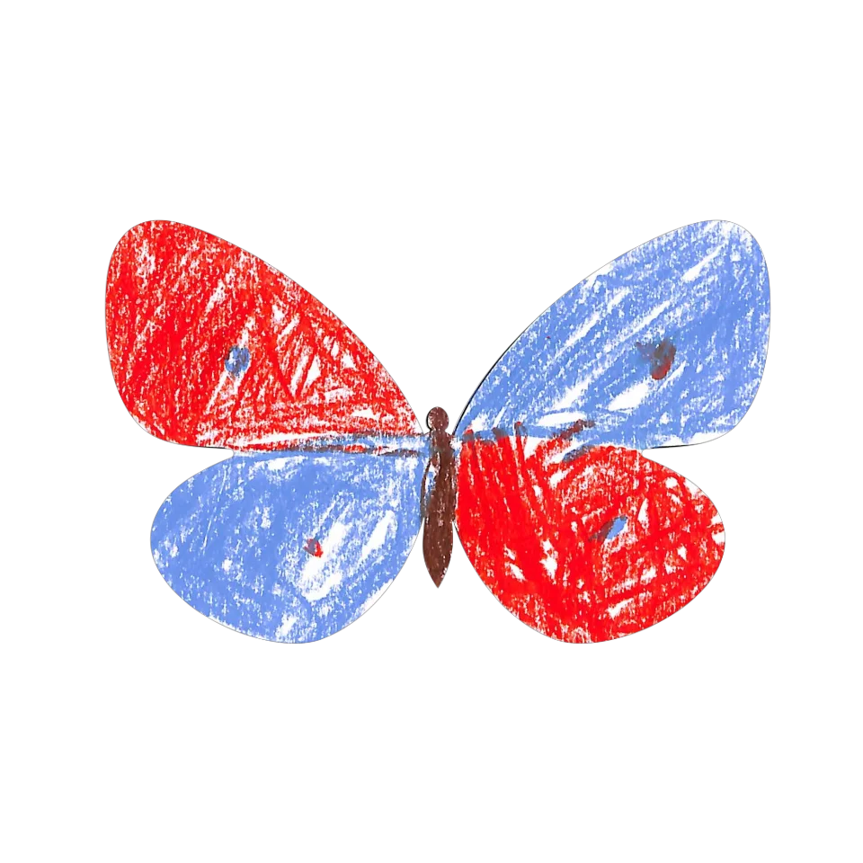 Original Butterfly Image