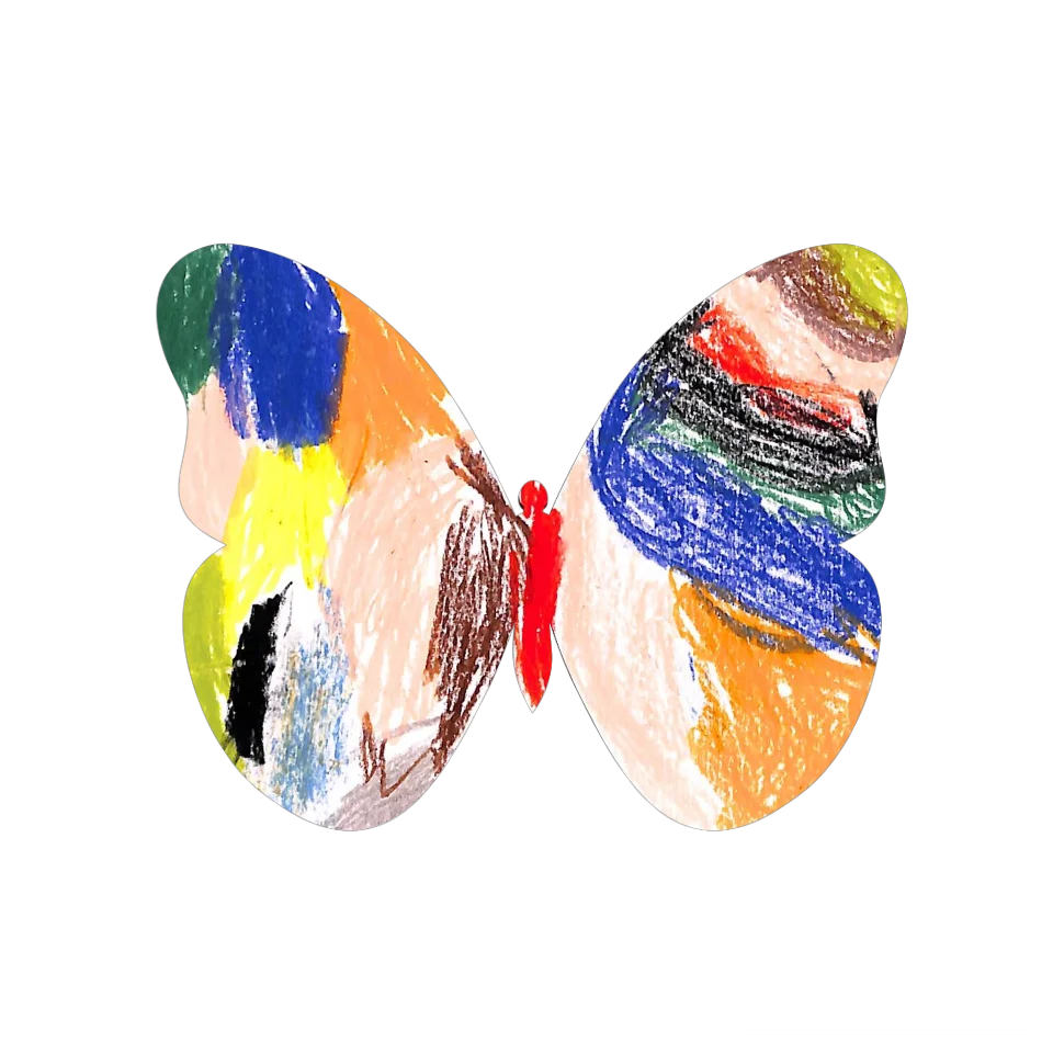 Original Butterfly Image