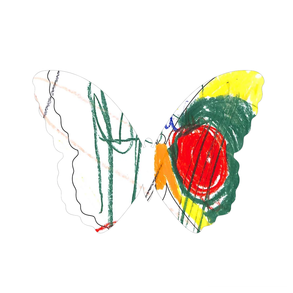 Original Butterfly Image