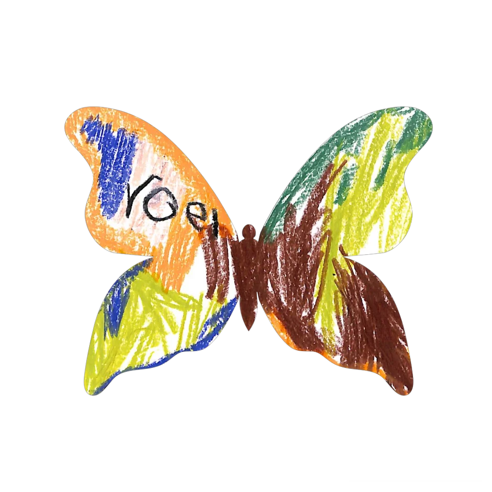 Original Butterfly Image