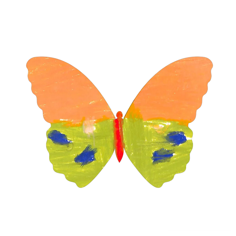 Original Butterfly Image