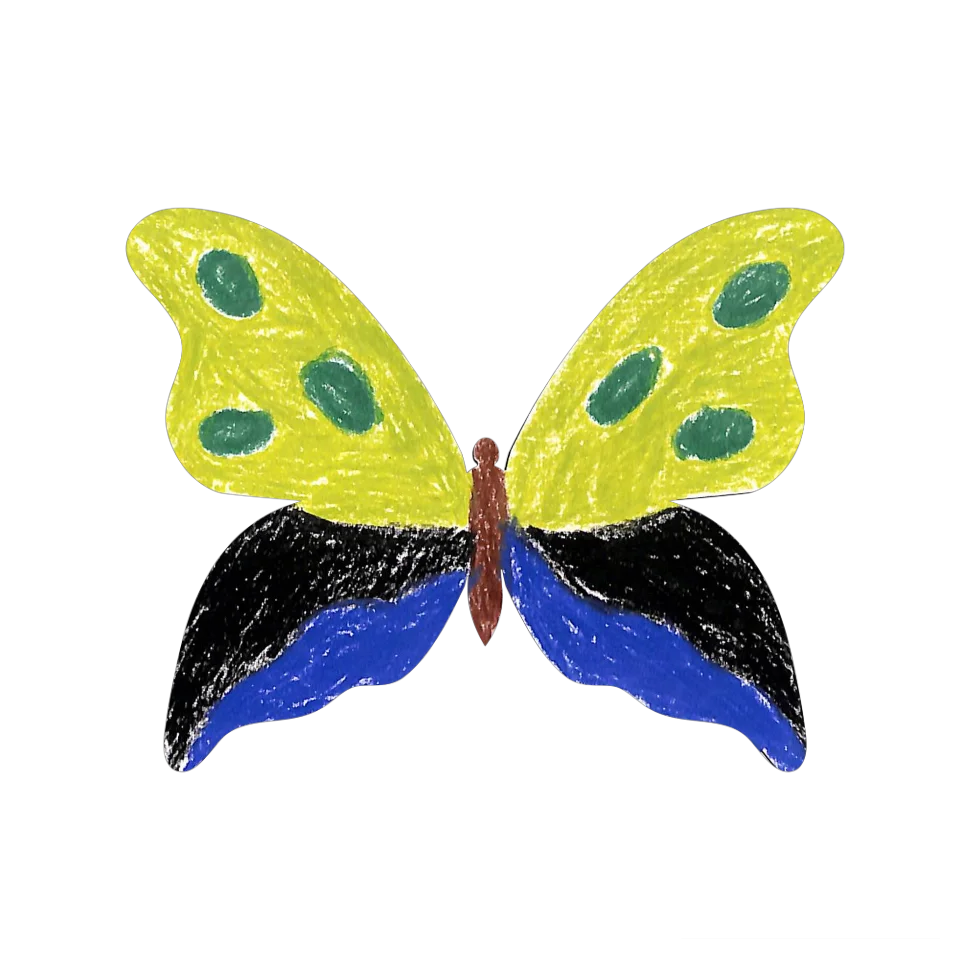 Original Butterfly Image