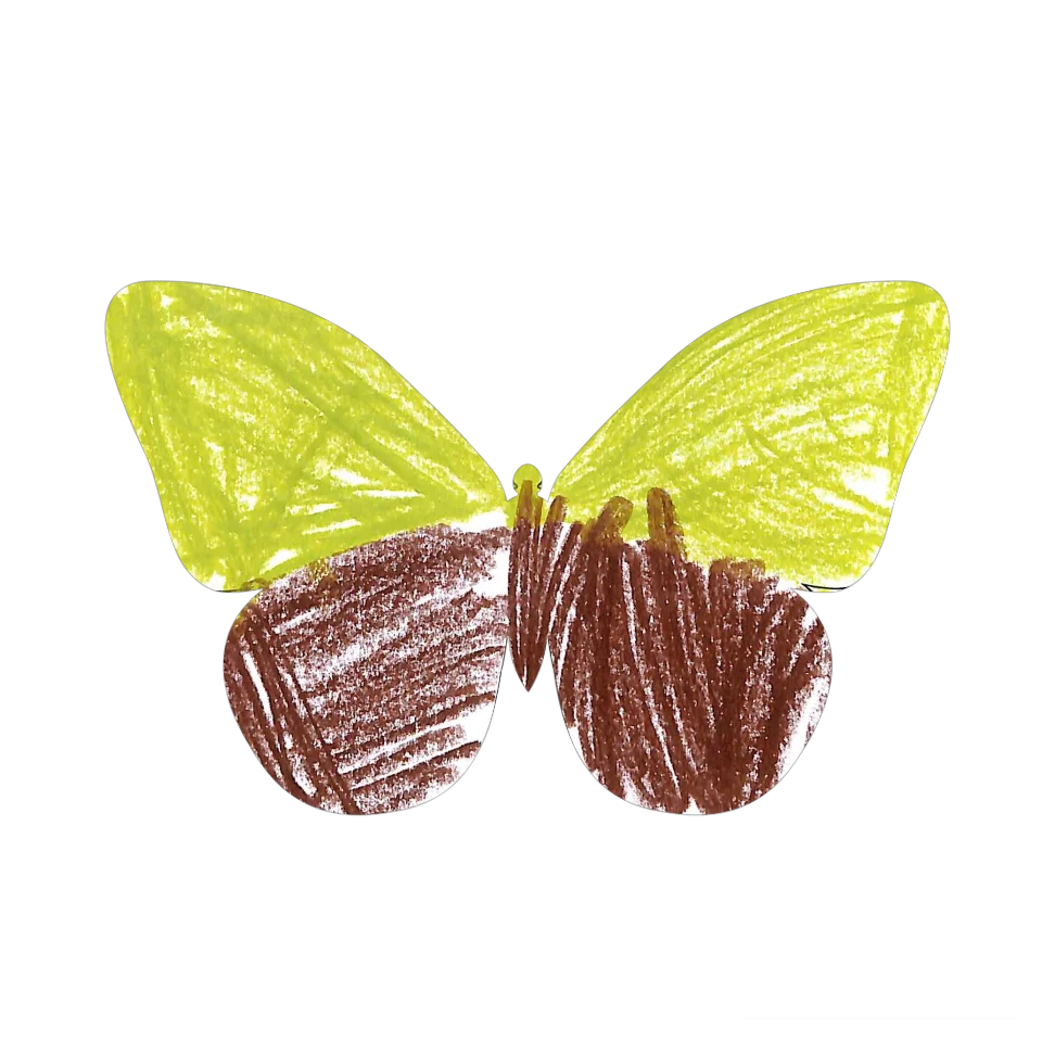 Original Butterfly Image