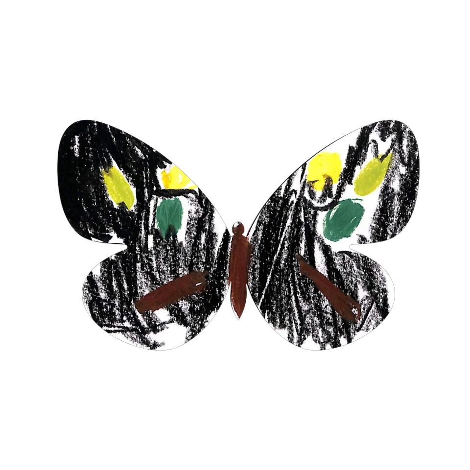 Original Butterfly Image