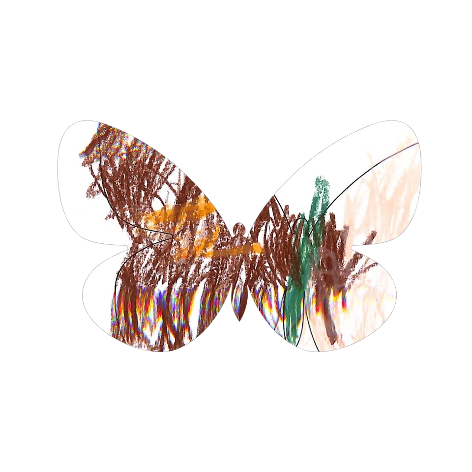 Original Butterfly Image