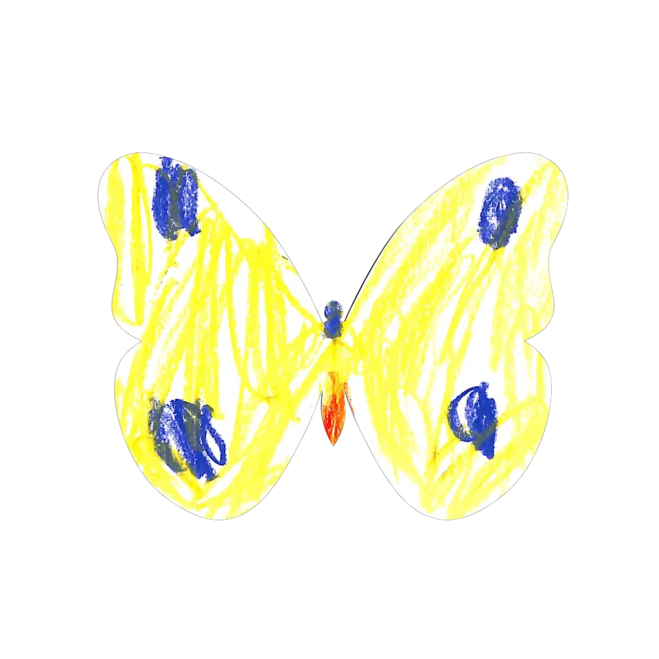 Original Butterfly Image