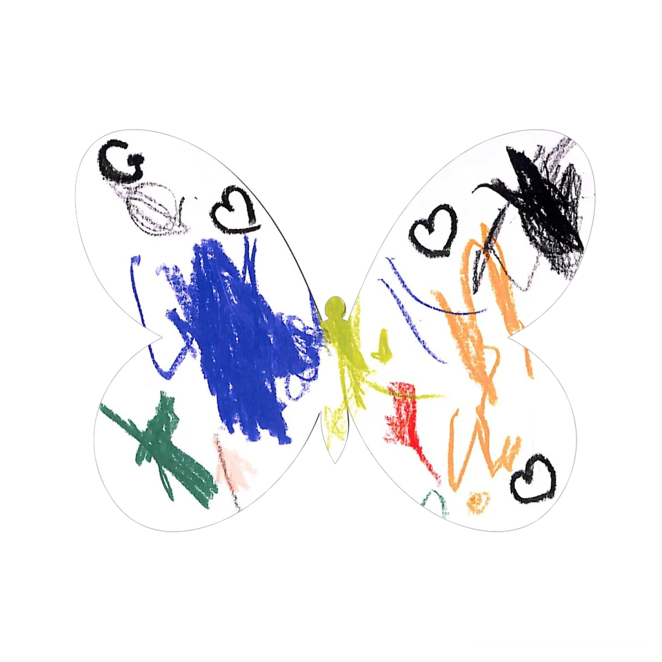 Original Butterfly Image