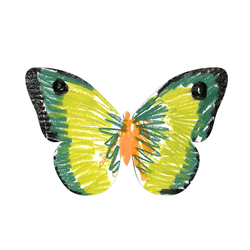 Original Butterfly Image