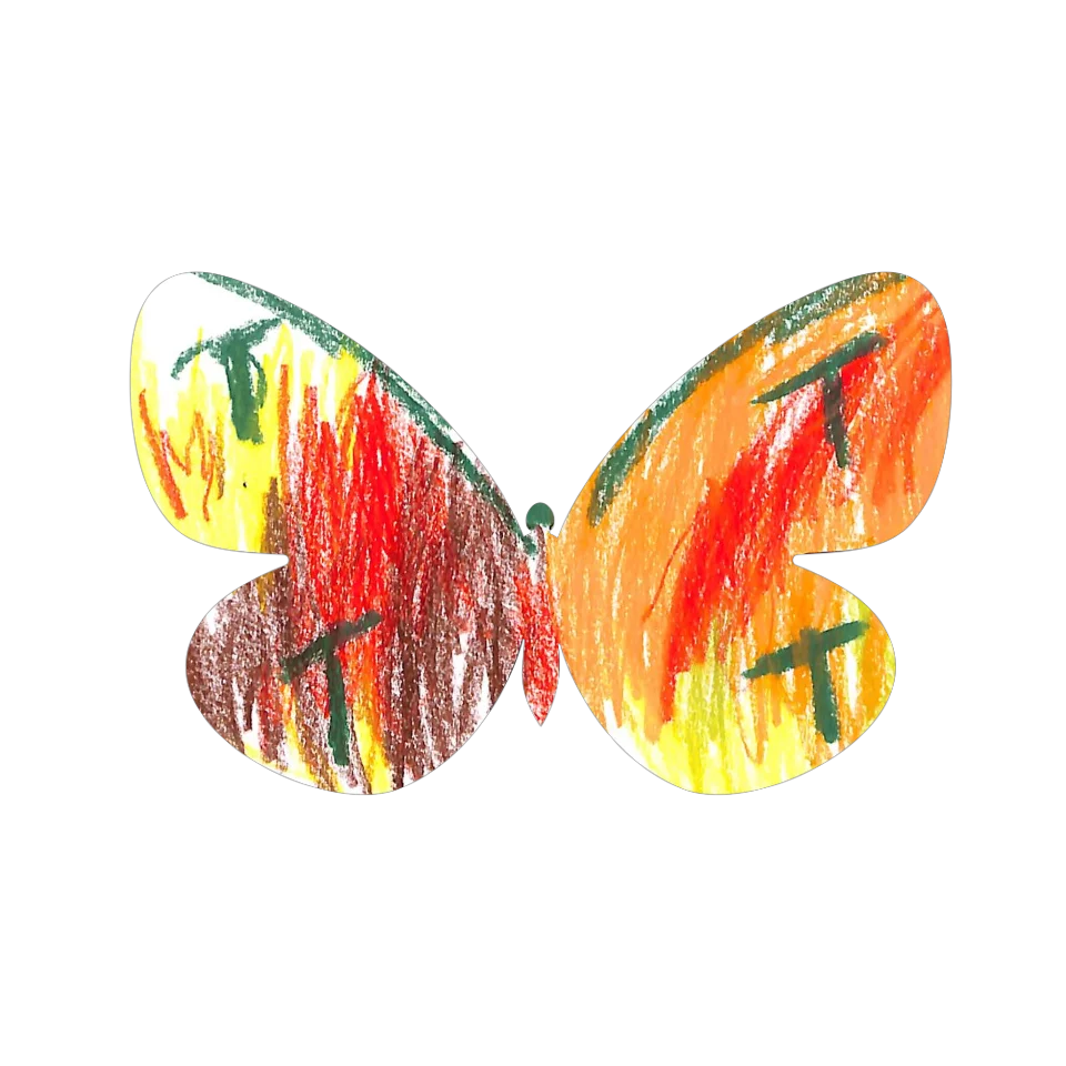 Original Butterfly Image